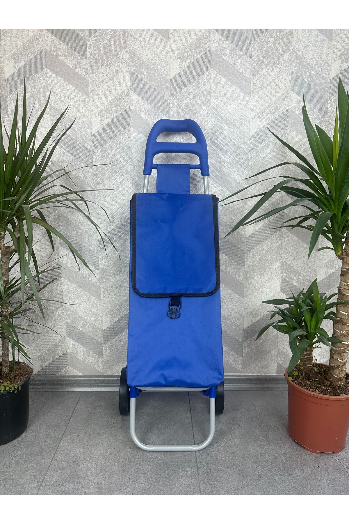 Pazar Arabası Eğri Kulp Düz Renk Çantalı