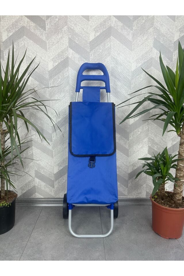 Pazar Arabası Eğri Kulp Düz Renk Çantalı